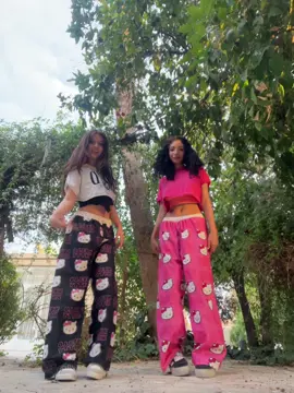 @Zahra.wjj 