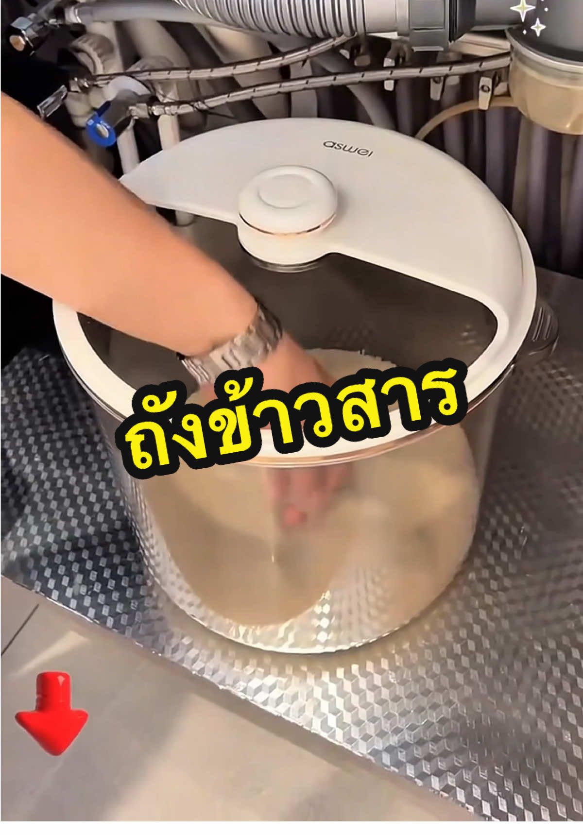 ถังข้าวสารอเนกประสงค์ ใส่ของได้หลากหลาย ฝาปิดสนิท กันแมลง #ครีเอเตอร์tiktok #ครีเอเตอร์tiktokshop #ถัง #ถังข้าวสาร #ถังข้าวสาร🍚🌾 #ถังใส่ข้าว 
