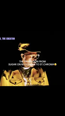 INSANEEE!!! #tylerthecreator #lollapalooza #foryou #fyp #viral #fypシ #lollapalooza2025 #chromakopia 
