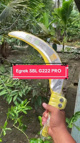 👇🏻👇🏻👇🏻 #egreksawit#egrektajam#egrektajammalaysia#sawitkalimantan#sawitjambi#sawitjambiindonesia#pemanensawit#sawitinhu#sawitjambiindonesia#pemanensawit#sawitinhu 