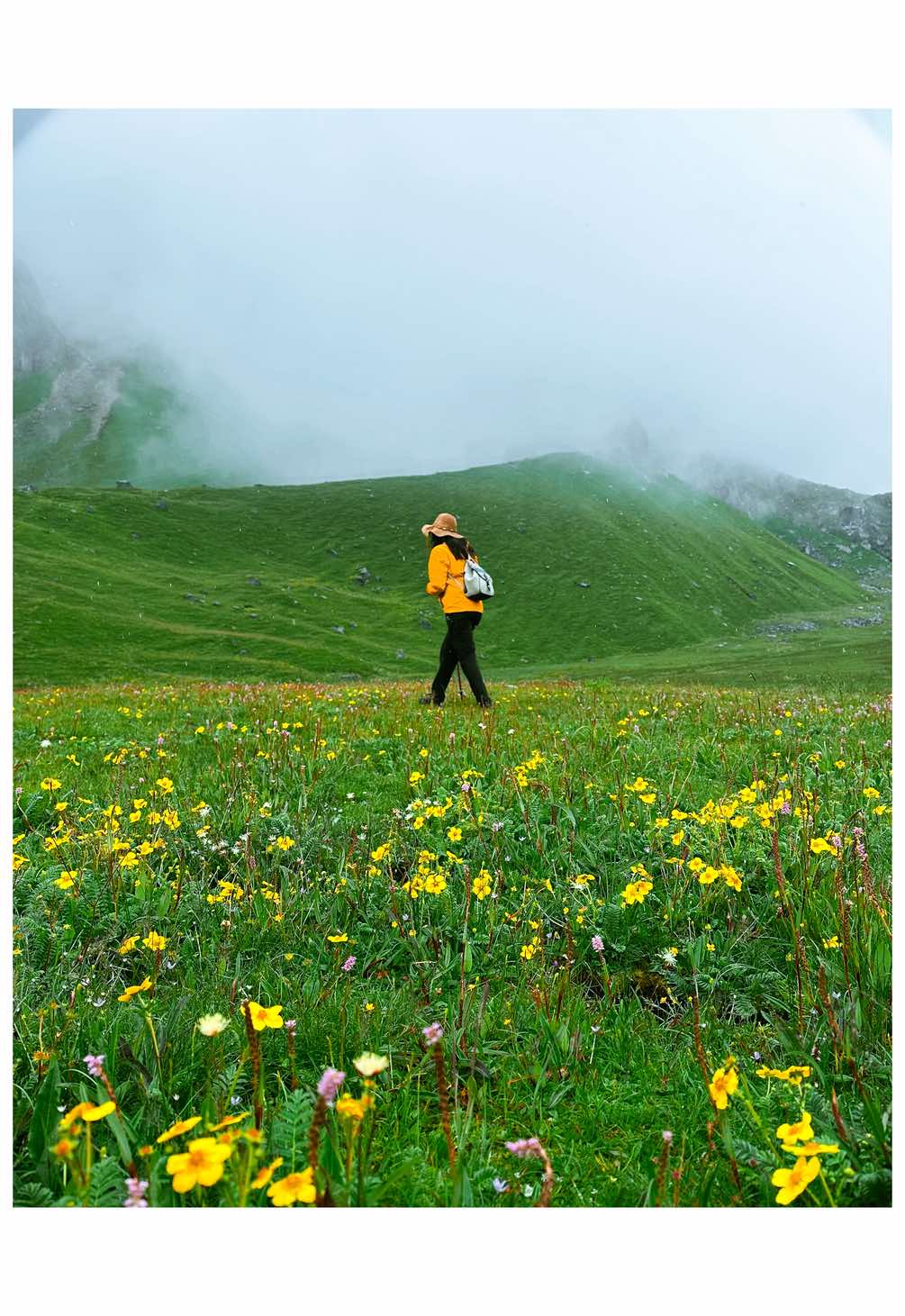The heavenly Khopra Ridge Trek.