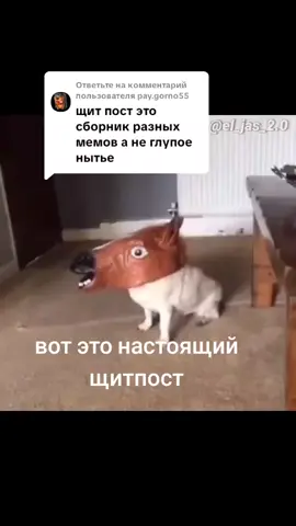 Ответ пользователю @pay.gorno55 