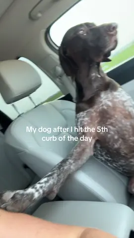 I should let him drive next time