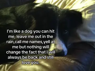 #fypシ゚viral #fy #fyp #foryoupage #zyxcba #fypシ #xybca #relatable #dog 