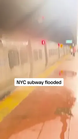 Flooding in New York City created a waterfall in the underground tunnels of the subway system. New York Governor Kathy Hochul and her acting counterpart in New Jersey said they were declaring states of emergency for areas facing the threat of extreme flash floods forecast for much of the Eastern Seaboard. #flood #subway #NewYorkCity #NewYork #rain #NewJersey