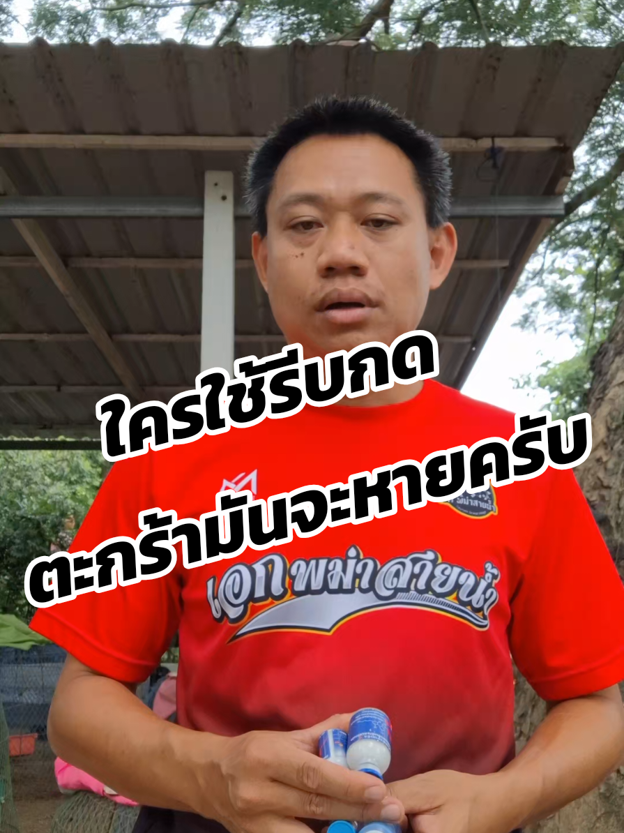 รีบกดไปนะครับ ตะกร้ามันอยู่ไม่นาน ผมต้องลงคลิปเก่าไปก่อนนะครับ #ปศุสัตว์ #ฟาร์มไก่ #ไก่พื้นเมือง #เกษตรกร #รักษาสัตว์ #วัคซีนไก่ 