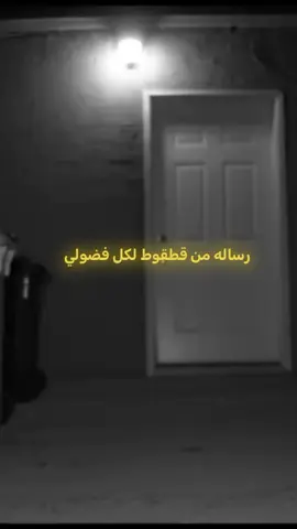رساله لكل فضولي #fyyyyyyyyyyyyyyyy #fyp #edit #cat #al_yemaany #trend #templatecapcut #مصطفى_المومري #رياكشن 