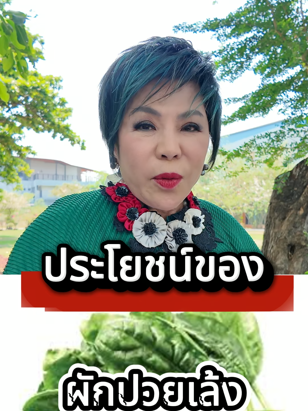 ประโยชน์ของ ผักปวยเล้ง #ดูแลตัวเอง #ตํารับยา #สุขภาพ #สมุนไพรไทย #ผู้สูงวัย #แพทย์แผนไทย  #สูงวัยใส่ใจสุขภาพ #สุขภาพดี #ออกกําลังกาย #ปวดเข่า #ความดัน #บำรุงไต #ไต