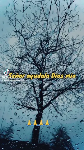 Dios mío ayúdala 😢🥺🙏🤲#diosmioescuchame#oremosjuntos #🙏🤲🙏🧎‍♀️