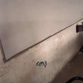 الفديو من كملنه امتحانات نصف السنة. شعبه دال جانت أحله شعبه حرفيأ.... النزاهه