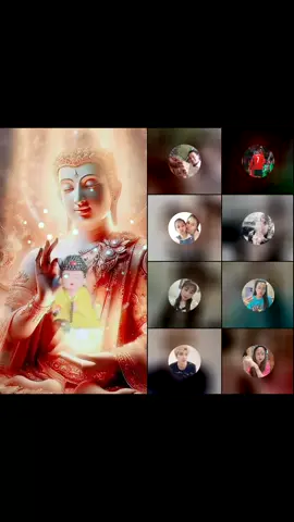 #tiktoklive #livehighlights chúc cả nhắm luôn được an lạc 