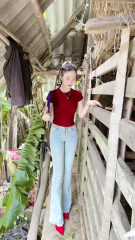 Đi dạo Hươu#thuybaby 