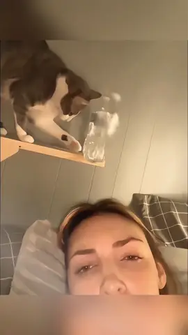 “Cat:Why can’t I control this hand!🙀🙀🙀”#funnyvideos #pet #catoftiktok #fyp #kitty #catlover #tiktok #cat 