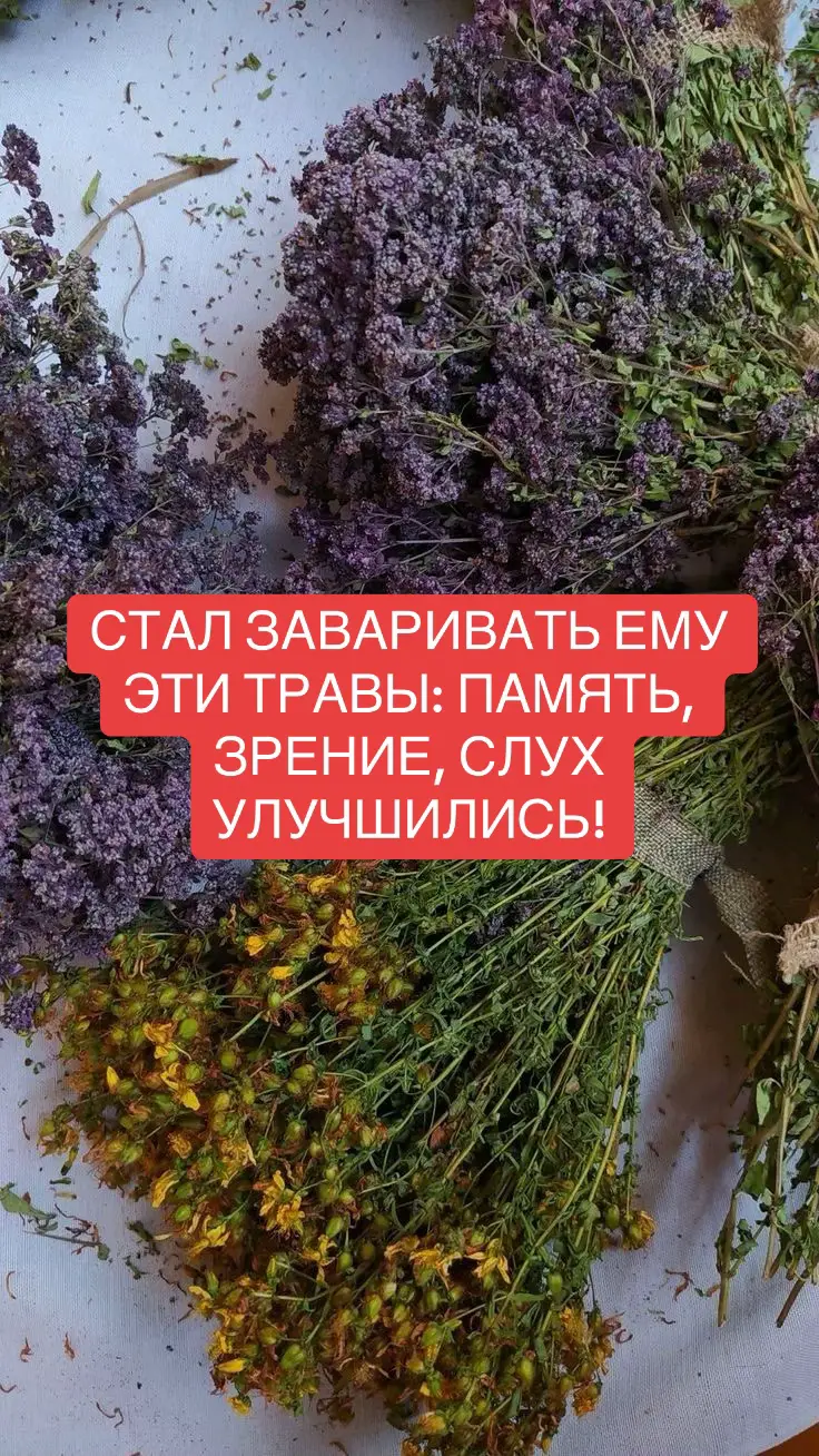 После инсульта нам важно: 1. Помочь организму с восстановлением 2. Бороться с причиной инсульта (холестерин, давление) 1. Сбор 38 сосудистый - это база! Способствует очищению кровеносных сосудов от холестерина, делает их эластичными, нормализует работу сердца и кровообращение. Улучшает память, зрение, слух. Улучшает состав крови и разжижает ее. Состав: береза, боярышник, брусника, диоскорея, душица, земляника, крапива, лаванда, манжетка, мята, одуванчик, цикорий, шиповник, пырей сурепка дуговидная Отдельно хочу коснуться последнего растения - сурепка дуговидная. Это довольно редкая травка, но очень мощная! Очищает даже самые мелкие сосудики! Как пить сбор: 1 столовую ложку сбора залить 0,5 л кипятка, тепло укутать, 1 час настаивать, процедить. Пить теплым по 0,5 стакана за 30 минут до еды четыре раза в сутки, четвертый раз - перед сном. 2. Совместно с приемом сосудистого сбора едим гинкго с медом Гинкго - это растение. Улучшает мозговое, сердечное и периферическое кровообращение и снабжение тканей кислородом и питательными веществами. Улучшает умственную работоспособность, ясность мышления, концентрацию внимания, память, зрение. Устраняет головокружение, головную боль, шум в ушах. Как применять: 1 уп. травы (50 гр.)перемолоть на кофемолке, смешать с 300 гр. меда, принимать 3 раза в день по 1 ч.л., запивая сбором. 3. Закрепляем все диоскореей кавказской Снижает содержание холестерина в крови и отложение липидов в артериальных сосудах, печени, коже. Эффективна при атеросклерозе сосудов головного мозга, сердца и конечностей, при гипертонии, стенокардии, ревматоидном артрите, подагре. Предотвращает угрозу инфаркта и инсульта. Ликвидирует их последствия, улучшает память, зрение, слух, настроение. Укрепляет стенки сосудов, нормализует сон. Способа приема есть 2 (на выбор): 1) 90 г измельченных корней залить 1 л 60° спирта, настоять в темном месте 15 дней, периодически взбалтывая, процедить. Принимать по 1 ст. ложке 3 раза в день после еды. 2) Принимать сухим порошком по 1/3 чайной ложки (1 гр) 3 раза в день после еды, запивая водой Ставь❤️ и не забудь подписаться и поделиться этим видео #доктордушиитела #доктор #fypシ゚ #fyp #докторюля #топтиктока #молдова🇲🇩 #украинасегодня #россияне #топтикток💣💥 #германияпорусски #целительдуши #здоровьебезтаблеток #рекомендации #fup #for 