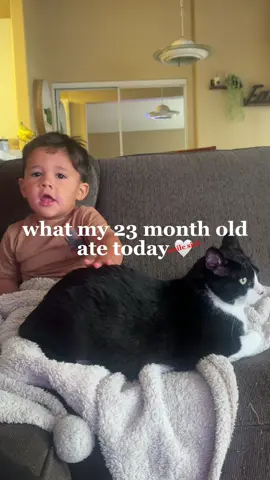 poor baby picked up a bug at the fair or something 😖 . . . #sickbaby #sicktoddler #sickeats #baby #babytok #babyboy #babyeating #babyfood #MomsofTikTok #momlife #mom #momtok #moms #wieiad #mukbang #mukbangbaby #23monthsold  #babyledweaning #babymeals #toddler #toddlermeals #toddlermealideas #blw #blwmeals #blwmealideas #toddlereating #toddlerfood 