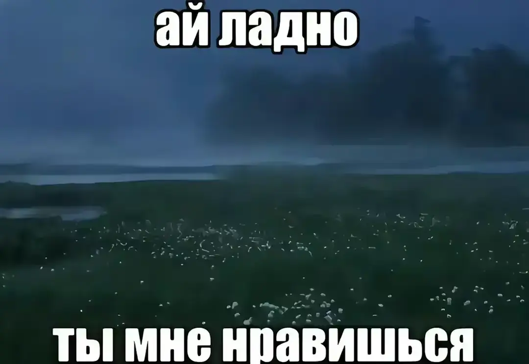 #метропабг#тдм#любовь❤ 