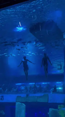 ##水族館 #夏休み #美人 夏休み息子と中國広州旅行✈️ 中国水族館 人魚ショー ダイビングとダンスの極上の表現 息が詰まるほど美しい 強くお勧めします 最後までご覧ください