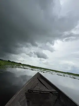 মন মাঝি খবরদার..! #viralvideo #foryou #foryoupage #view  #প্রাকৃতিক #প্রাকৃতিক_সুন্দর্য 