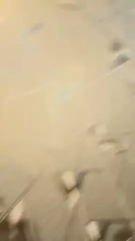 for you for you for you