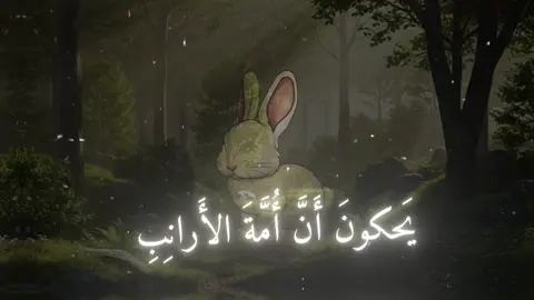 يحكون ان أمة الأرنب، أحمد شوقي #المتنبي #اسامه_الواعظ #قران_كريم #شعروقصايد #قصايد #فلسطين 