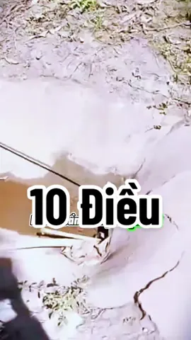 10 điều cần dạy con để con nên người #phattrienbanthan #nuoidaycon #trietlycuocsong 