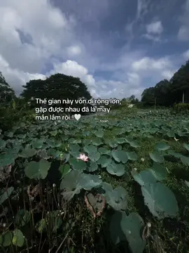 thế gian này vốn dĩ rộng lớn gặp được nhau đã là may mắn lắm rồi 🍀