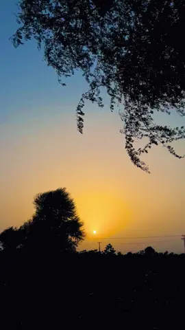 کسی بھی پریشانی کو اتنی اہمیت نہ دو کہ تم اپنے پاس موجود ہزار خوشیوں کو بھول جاؤ۔🙂🍁✨#views #meh_alee #fypシ゚ #support_me #grow #tiktokviral #unfreezemyacount 