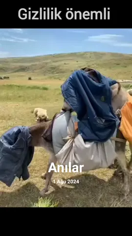 #anılar gizlilik önemli🤣😁