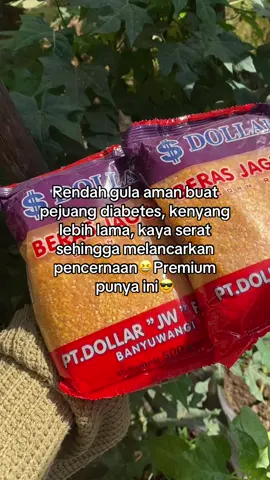 Ganti karbonya sama beras jagung🥰🙏🏻 #pejuangdiet #diabetes #berasjagung #nasijagung #berasjagungdollar #fyp #fyppppppppppppppppppppppp 