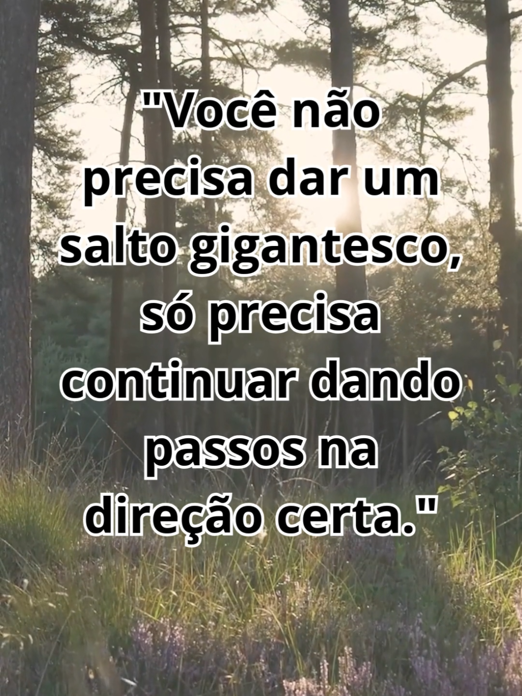#motivação #motivacional #frasesmotivadoras 