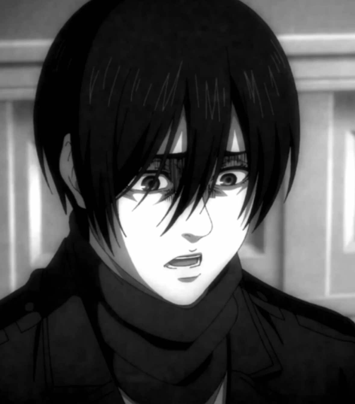 “are they lovers?” WOOOOOOOORRRRRSSSSSSSEEEEEEEE. #erenjaeger #AttackOnTitan #aot #mikasaackerman #eremika 