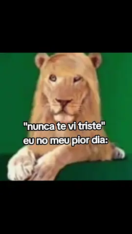#pravoce #flop #fy 