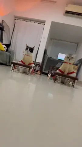 #fyp #feelings #tiktok 