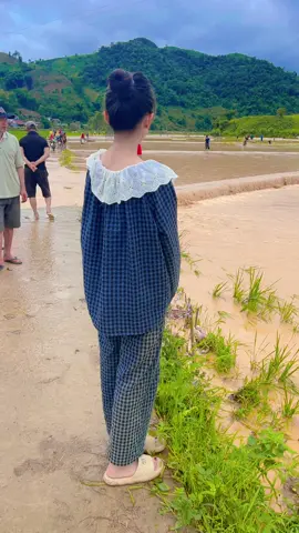 Thôi ai mang em về nuôi đi hết gạo ăn thật rồi ….