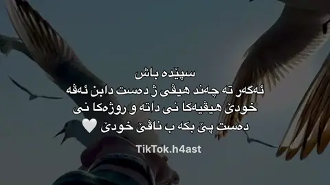 #foryoupage #foryou #fyp #duhok_zaxo_amedi_semel_akre #دهوك_زاخو_سليماني_ئاكري_ئامیدی_هولیر 