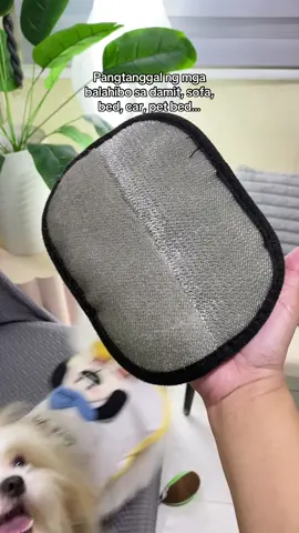 Pangtanggal ng mga balahibo sa damit, sofa, bed, car, pet bed… This is a Pet Electrostatic Dehairing Gloves. A must have product at home if your a furparent. ✅ #pethairremoval #pethairremovalgloves #petproducts 