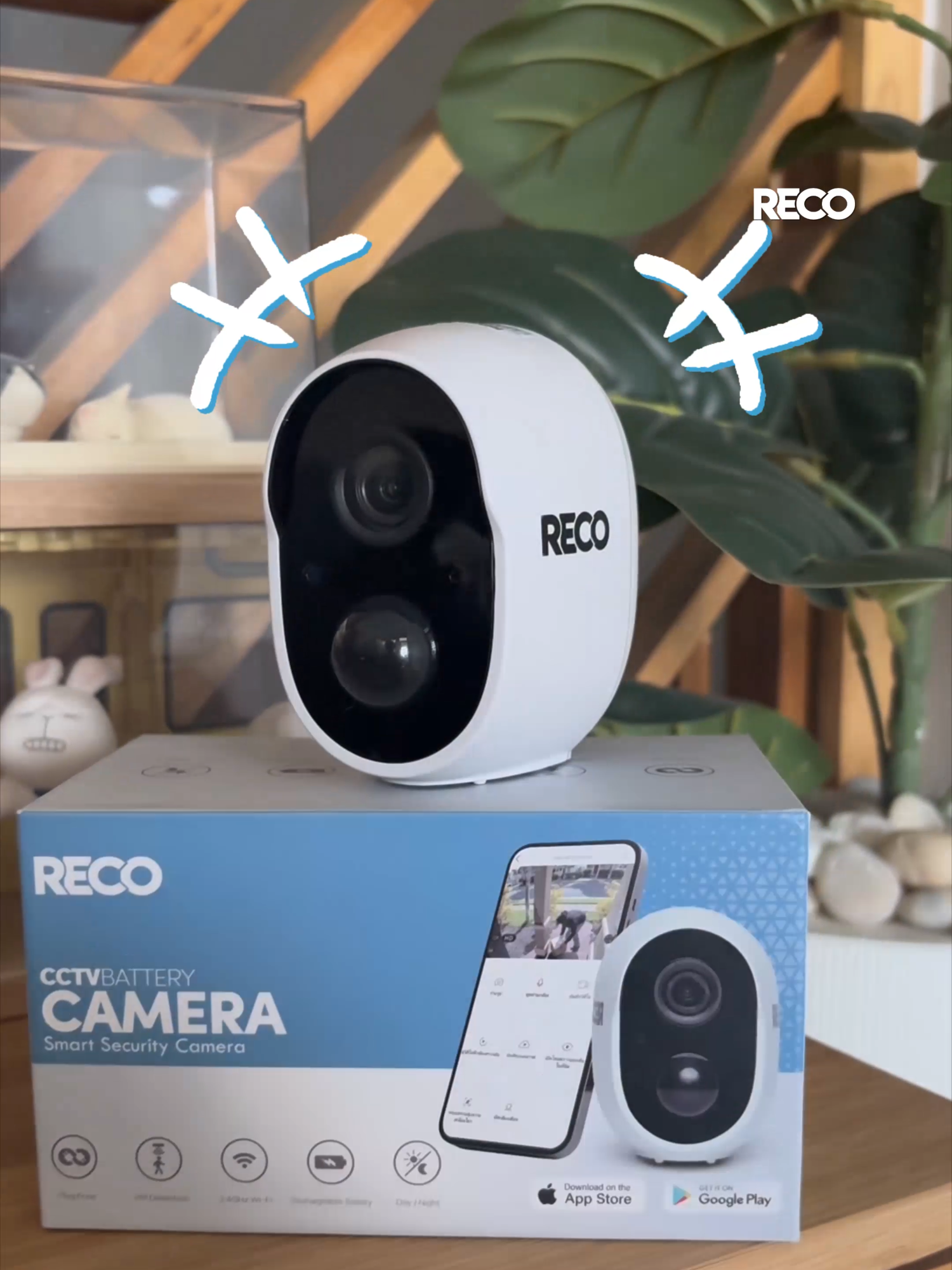 คิดถึงน้องแมว ก็แค่เปิดแอปRECO กล้องไร้สายแบตในตัว ใช้งานง่ายไม่เสียบปลั๊ก หมดห่วงน้องแมวที่บ้าน#กล้องวงจรปิดไร้สายRECO #กล้องวงจรปิดRECO #recoกล้องวงจรปิดไร้สาย #กล้องวงจรปิดไร้สาย #recothailand #กล้องวงจรปิด #กล้องRECO #ป้ายยาgadget