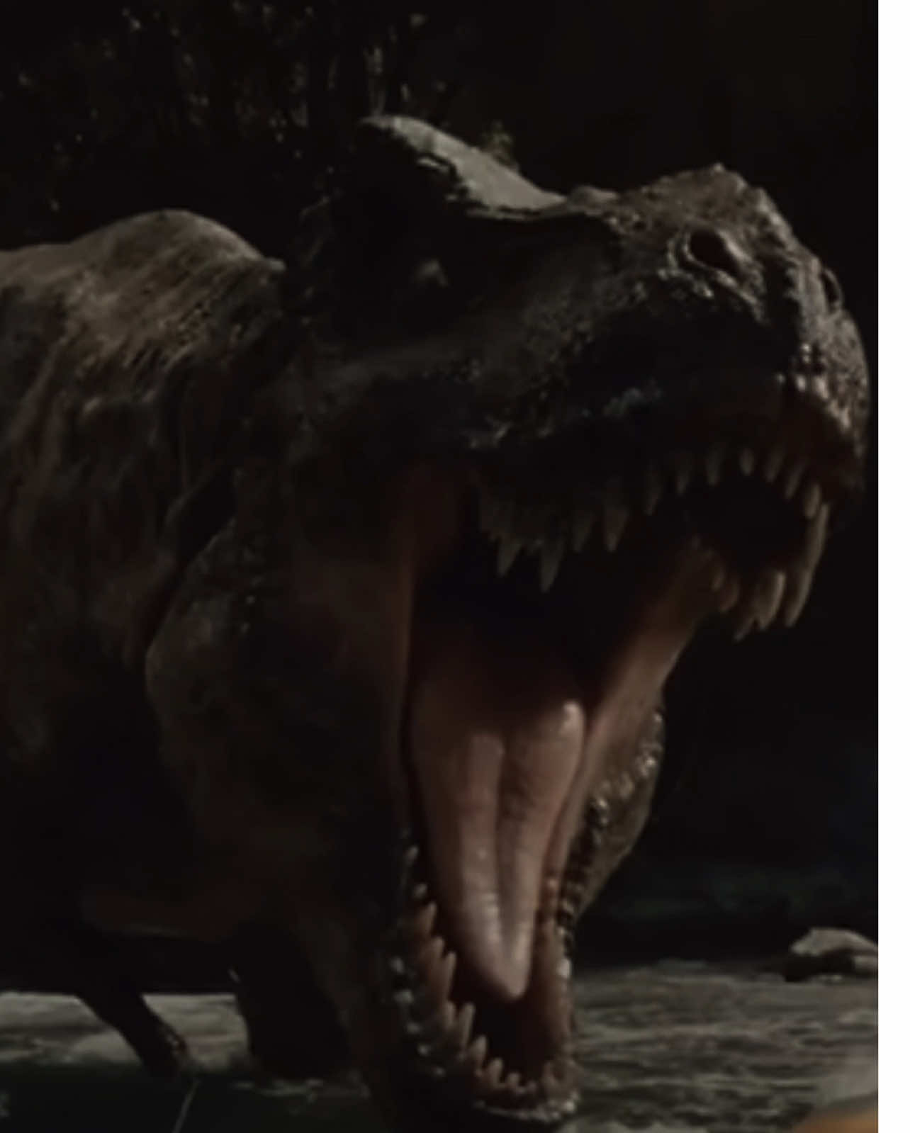 T Rex edit v2 (WE ALMOST AT 1000 FOLLOWERS!!!) #CapCut #fypシ #fyp #xyzbca #edit #jurassicworldrebirth #trex #dinosaur @pa_leader 