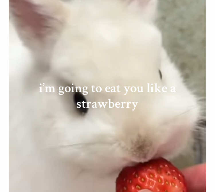 Immediately 🍓 #bunniesoftiktok #couplegoals #couples #friendship #friendshipgoals #relatable #fypシ #fyp #foryou #fentysuperbrandday #foryoupageofficiall 