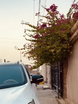 رغم هجرك حبيبي الگلب وافاك 🤎🙇🏻. . . . . . . . . . . #حديثه #حديثه_مدينتي #اكسبلور #fyp #ستوريات #حب #reels #انستا_بالبايو 