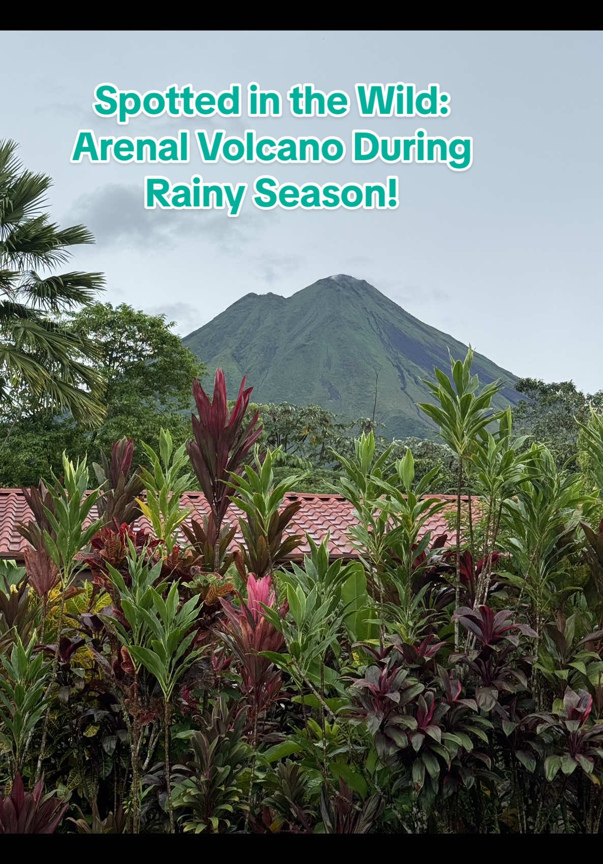 🌫️ Rain. Fog. Zero visibility. 😅 “They say there’s a volcano here…” 🌬️ …Then suddenly: 🌋 ARENAL APPEARS. 5 minutes of glory. 🫣 And then — gone again. ☁️ Like it was never there. #VolcanoPeekaboo #ArenalVolcano #CostaRicaMagic #RainforestVibes #VolcanoPeekaboo #MysticArenal #TravelMoments