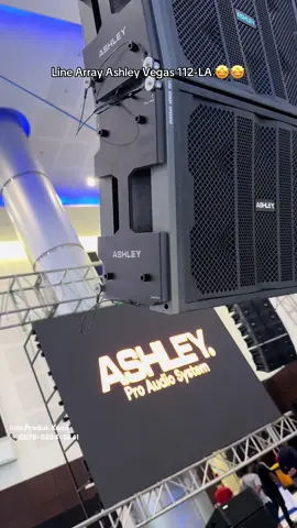 Line Array Ashley Vegas 112-LA 🤩🤩
