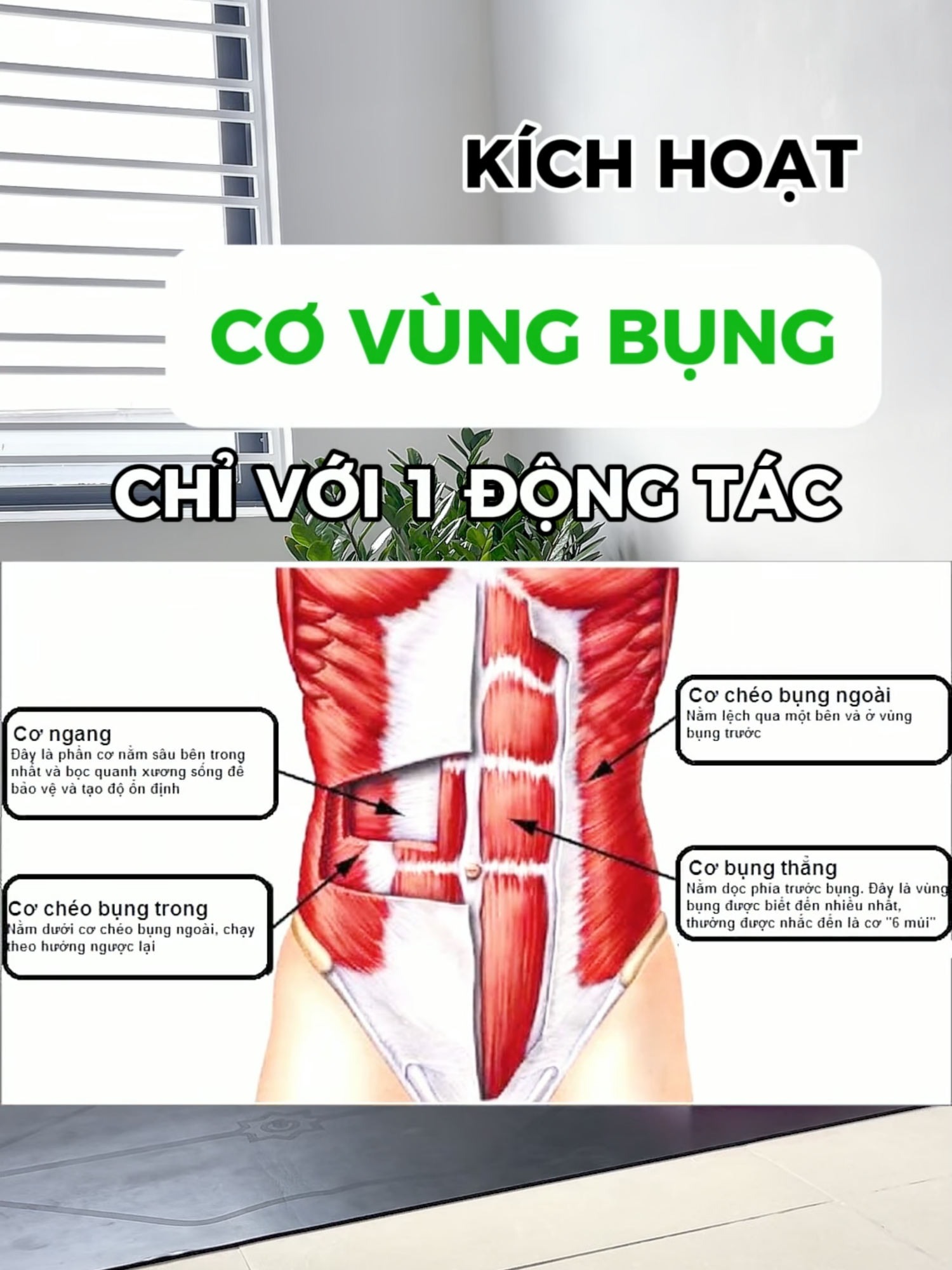 Ai bảo ngồi là nghỉ? Ngồi mà siết bụng, vặn eo... là căng đấy nha! 😅 💥 Động tác tưởng chừng nhẹ nhàng nhưng lại 