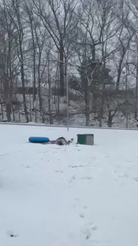 #jet2holidays #fyp #viral #viralvideo 