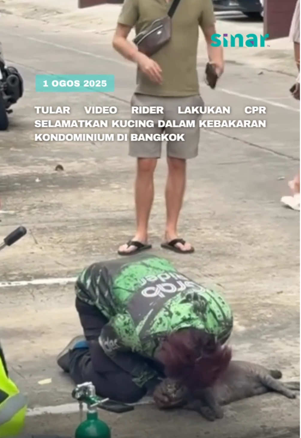 Kesiannya kucing tu!!! Menurut info, rider ini sanggup naik ke atas bangunan demi selamatkan kucing ni. Mungkin beliau pemiliknya 😩💔 Sumber: TikTok pleum_sora  #SINARKongsi #SINARMuzikRetroTerbaik #kucing #viral #fyp #foryoupage #fyppppppppppppppppppppppp #bangkok 