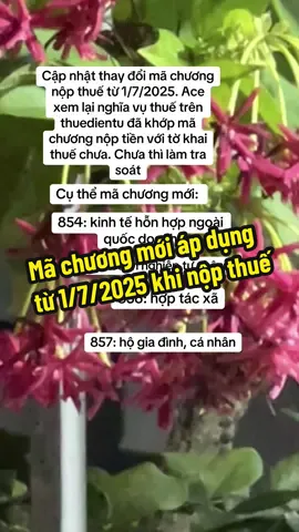 #nguyenbich_tuvanthuevn #tuvanthue #ketoanthue mã chương mới áp dụng từ 1/7/2025 khi nộp thuế