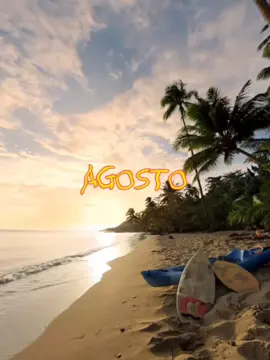 Y Otra Vez AGoSto - BaD BuNNy 🏖🌊🌴🥥 #unveranosinti💔🌴☀️ #badbunny #benitomartinezocasio #agosto #paratiiiiiiiiiiiiiiiiiiiiiiiiiiiiiii #fyp 