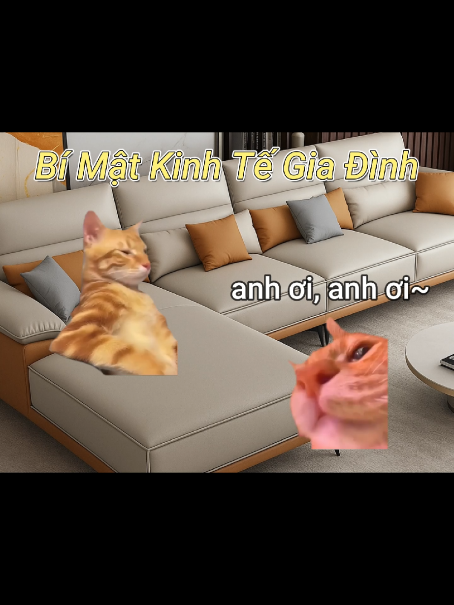 Vì lo cho anh | #cat #meme #catmeme