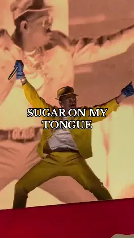 tell your mama #tylerthecreator #lolla #chicago #foryoupage #sugaronmytongue 