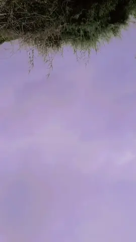 💞💞